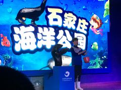 -石家庄海洋公园