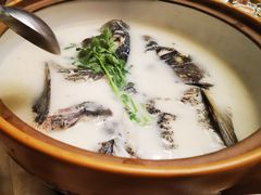 白汤有机鱼头-千岛湖小鱼儿·淳安匠心农家菜