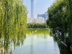 -团结湖公园