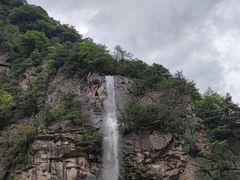 -青峰峡国家森林公园