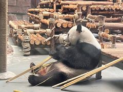 -东莞香市动物园