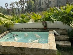 -HERRE·FARM 赫尔露营农场·团建聚会包场