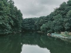 -象山森林公园