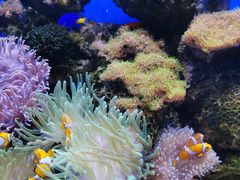 -多彩贵州城极地海洋世界