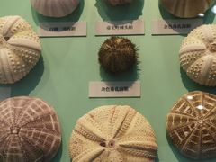 -大连自然博物馆