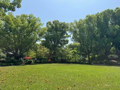 -申粤轩酒楼·三十年粤菜经典(丁香花园店)