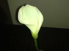 20100307455-杭州君悦酒店