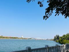 -五缘湾湿地公园