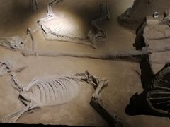 -洛阳周王城天子驾六博物馆