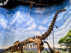 -辽宁古生物博物馆