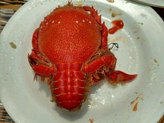 -龙达温泉生态城
