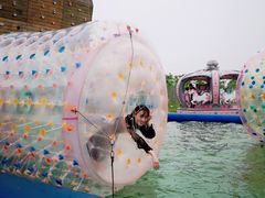 -上海长兴岛郊野公园