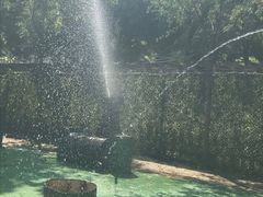 -十渡高山漂流