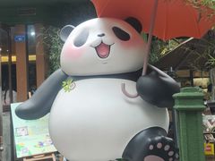 -轩客会(熊猫书店)