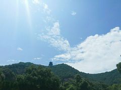 -杭州半山国家森林公园