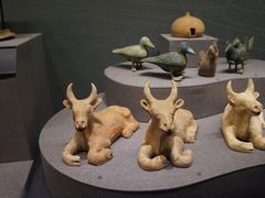 -广西壮族自治区博物馆