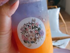 -Husky Go! 哈士奇体验馆·宠物咖啡厅狗咖