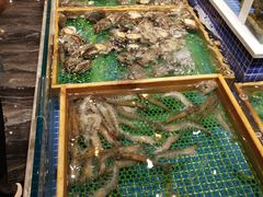 -丰卓会海鲜自助(中润大道店)