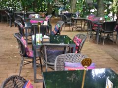-Fern Forest Cafe