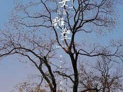 景点-静安雕塑公园