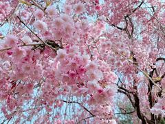 -盒马鲜生(馥邦国际店)