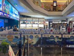 -成都浩海立方海洋公园