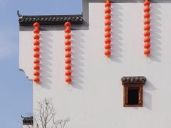 -洋湖国家湿地公园