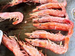 -潭柘厚院&山顶烤肉(潭柘寺店)