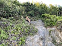 -大姆山草场