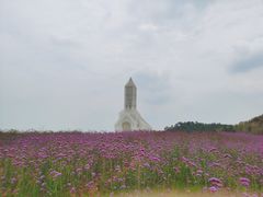 -紫颐香薰山谷景区