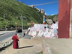 -文成公主庙