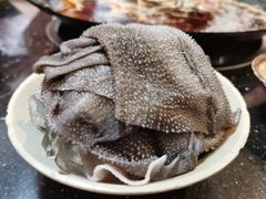 鲜毛肚-肥龙火锅(南坪店)