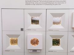 -中国茶叶博物馆(双峰馆区)