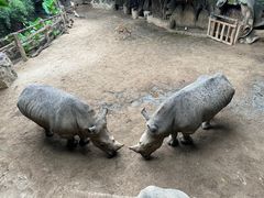 -长鹿旅游休博园