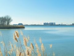 -天津东丽湖风景区