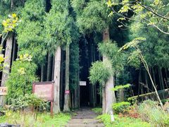 -武陵山森林公园