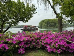 -尚湖风景区