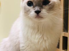 -猫和宫(六道口店)