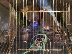 -草原塞蛮羊火锅城(港湾店)