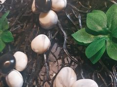 -双海潮·海鲜融合菜(如是海店)