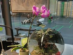 -绿壁虎攀岩基地(Tcar店)