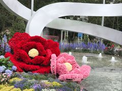 -深圳仙湖植物园