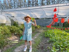 -前小桔亲子创意农场·草莓采摘·露营烧烤