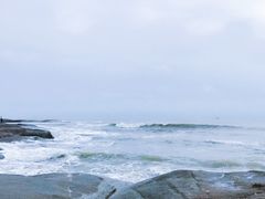 -山东八大碗山东老字号