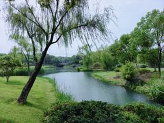 -贡湖湾湿地公园