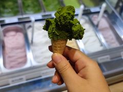 -鹤茶野所(上海首店)