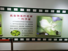 -上海昆虫博物馆