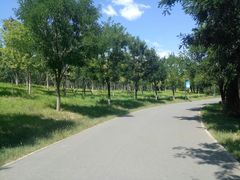 -东郊湿地公园