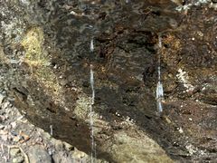 -七仙岭温泉国家森林公园