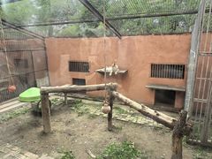-青藏高原野生动物园